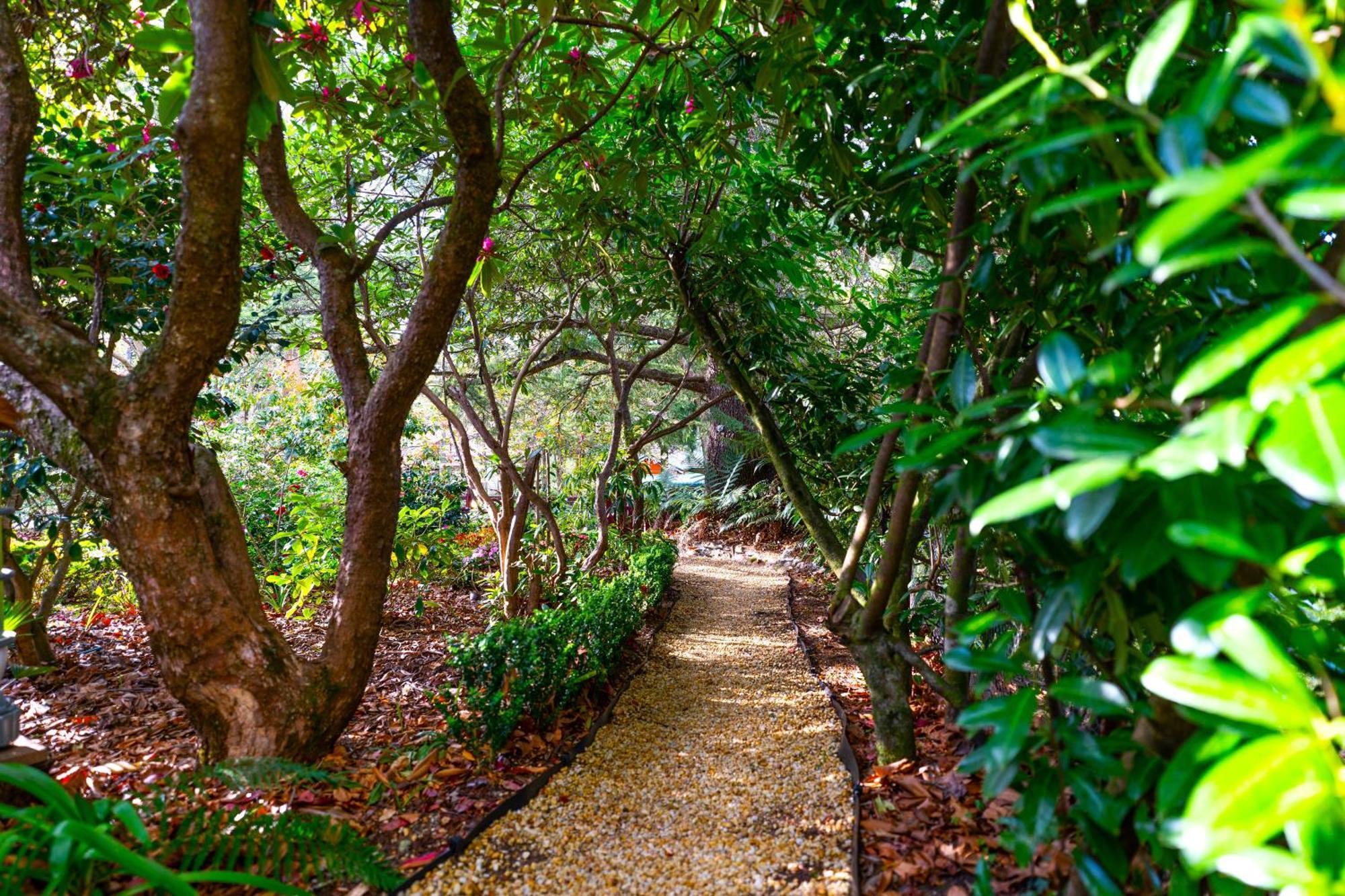Kubba Roonga Guesthouse - Boutique Luxury Spa Retreat & Gardens - Blue Mountains Blackheath Esterno foto