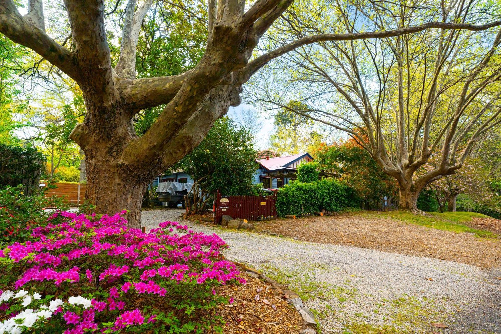 Kubba Roonga Guesthouse - Boutique Luxury Spa Retreat & Gardens - Blue Mountains Blackheath Esterno foto