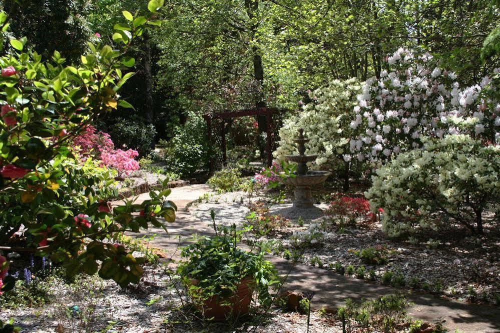 Kubba Roonga Guesthouse - Boutique Luxury Spa Retreat & Gardens - Blue Mountains Blackheath Esterno foto