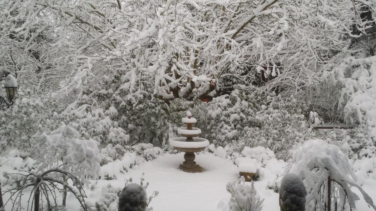 Kubba Roonga Guesthouse - Boutique Luxury Spa Retreat & Gardens - Blue Mountains Blackheath Esterno foto