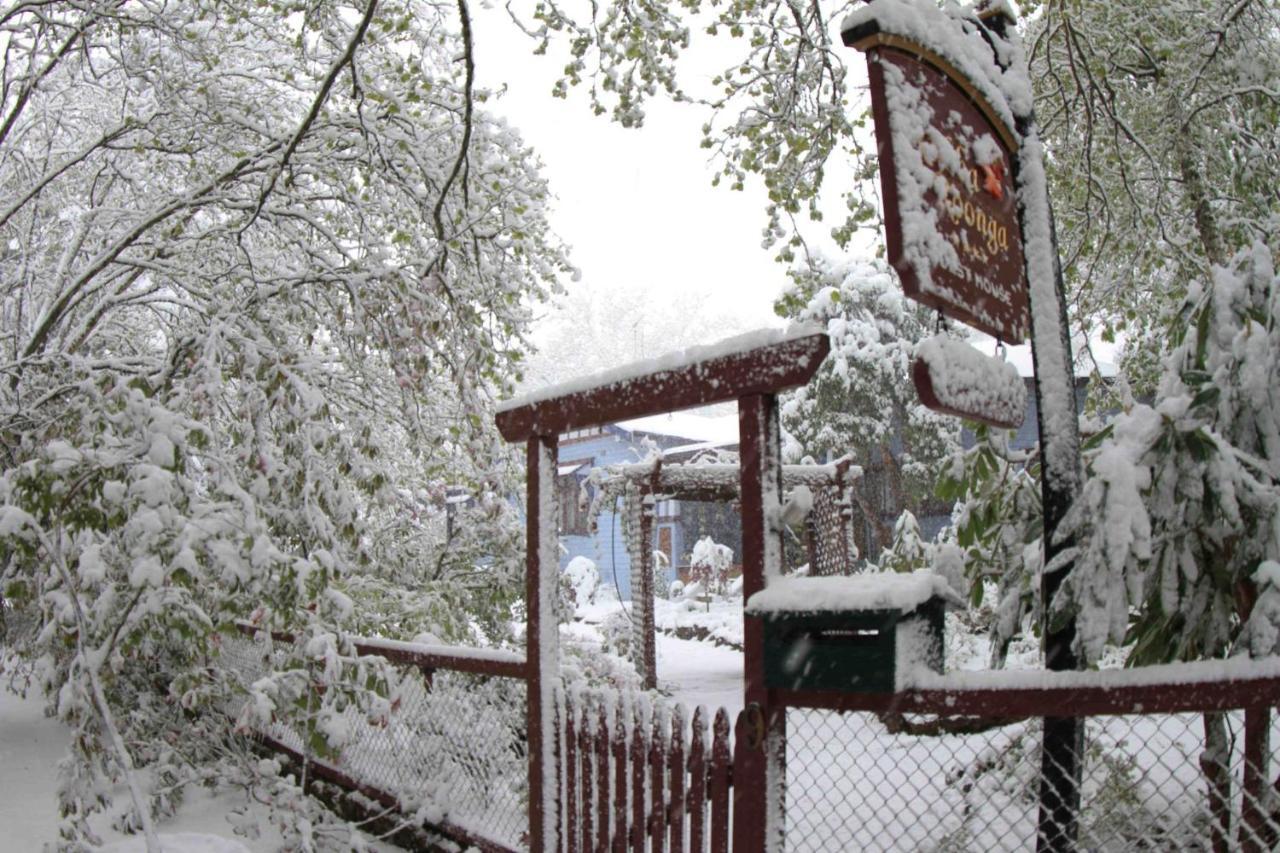 Kubba Roonga Guesthouse - Boutique Luxury Spa Retreat & Gardens - Blue Mountains Blackheath Esterno foto